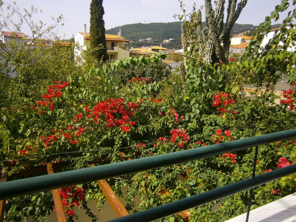 Hotel Pansion Chrisa à Skiathos Chora Extérieur photo