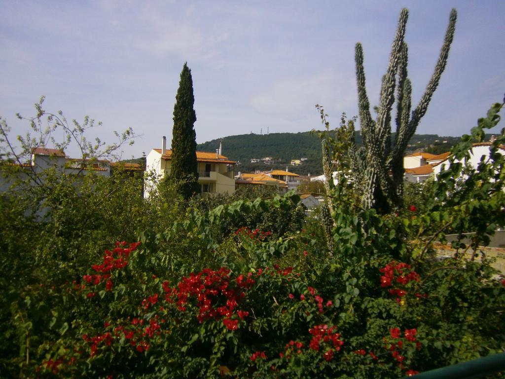 Hotel Pansion Chrisa à Skiathos Chora Extérieur photo